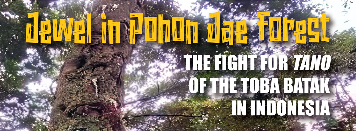  Jewel in Pohon Jae Forest: The fight for Tano of the  Toba Batak in Indonesia