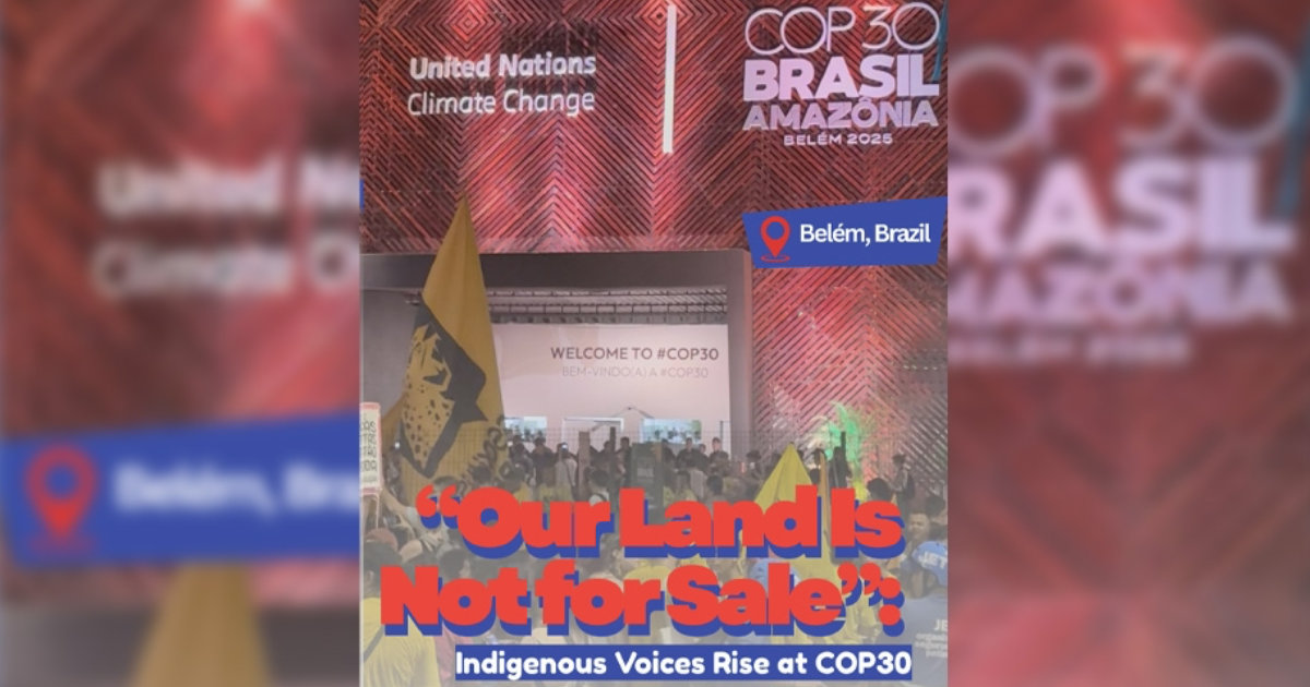 “Our Land Is Not for Sale”: Indigenous Voices Rise at COP30