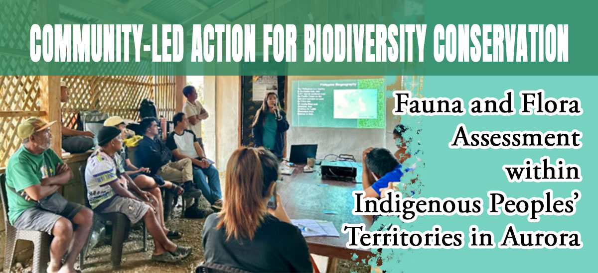  Biodiversity conservation at the local level has been globally recognized as one of the most effective and practical approaches for achieving both short-term and long-term goals. In particular, community-driven actions of Indigenous Peoples—grounded in Indigenous knowledge, value systems and customary practices—enrich the body of information available for developing more robust and context-specific conservation instruments. These contributions highlight and strengthen the vital role of Indigenous communities in sustaining and protecting biodiversity. To further enhance Indigenous Peoples’ capacities for biodiversity conservation, training on biodiversity assessment of fauna and flora in their ancestral domain was conducted among the Dumagat and Alta, the Indigenous Peoples in San Luis, Aurora in northern Philippines. Tebtebba’s Climate and Biodiversity Program Staff, Marilyn Dela Torre, shared technical inputs during the activity aimed at strengthening the capability of participants to undertake biodiversity assessments.          Participating in the training held on February 13–16 were 25 representatives from Indigenous communities in Barangays Real, Dibalo, Dibut and Dikapinisan, along with members of Daluhay Daloy ng Buhay,  a member of the Dipaculao Egongot Tribe Association (DETA) representing the Indigenous Peoples in Aurora’s northernmost part and the Barangay Council of Dibut, the host community. The activity forms part of the ongoing implementation of the Samahan ng Bantay Kalikasan at Lupaing Ninuno (SUBKAL’N) project, supported through the Small Grants Programme Seventh Operational Phase under the funding assistance of the United Nations Development Programme (UNDP). It was led by SUBKAL’N, an Indigenous Peoples’ organization based in San Luis, which focuses on biodiversity conservation within their ancestral domain and on strengthening traditional governance and management.  The target outputs from the activity will be used for updating the Community Conservation and Protection Plan (CCPP) of Dibut ancestral domain. This local instrument serves as a living document that contains the commitments and actions targeted by the Dumagat and Alta peoples for the protection and conservation of their ancestral domains.  In addition, the activity provided an opportunity for Tebtebba to explore a possible engagement with the Dumagat and Alta peoples in Aurora, who are advocating for their rights to govern and manage their ancestral domain and strengthen their traditional governance.