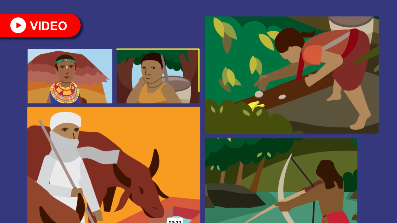 REDD+: Traditional Knowledge and Climate Science
