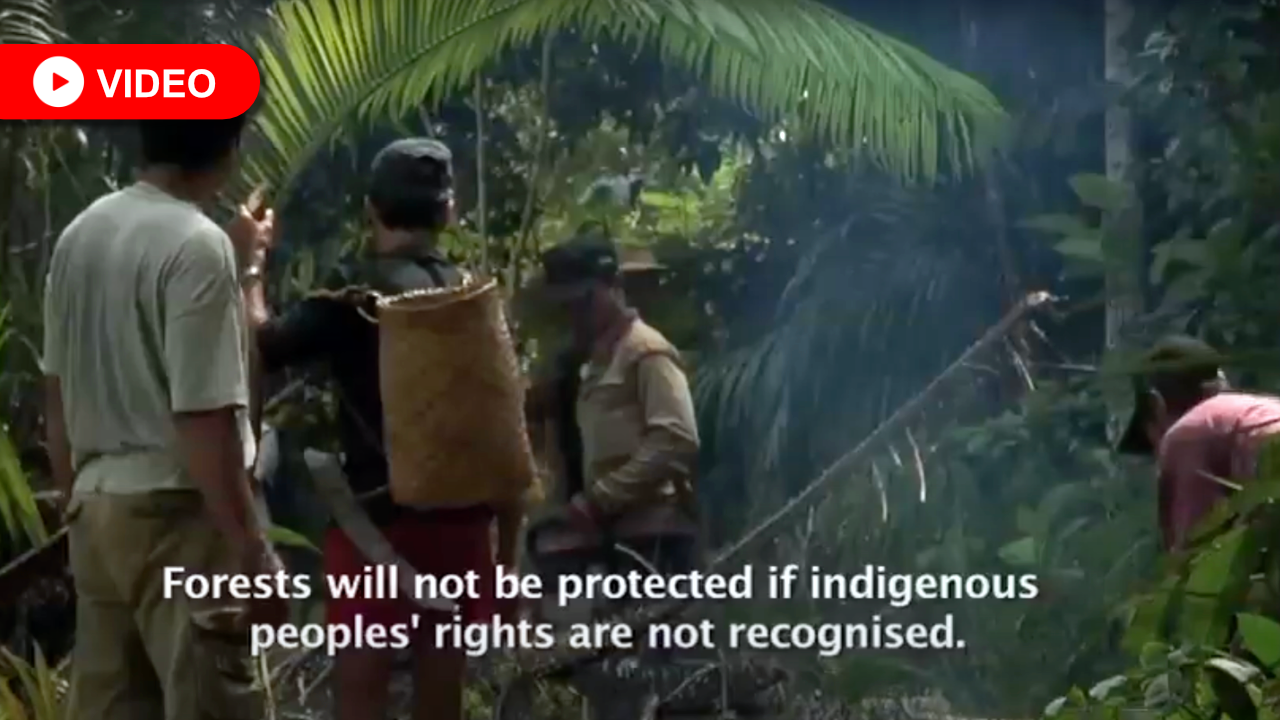 REDD+: Traditional Knowledge and Climate Science