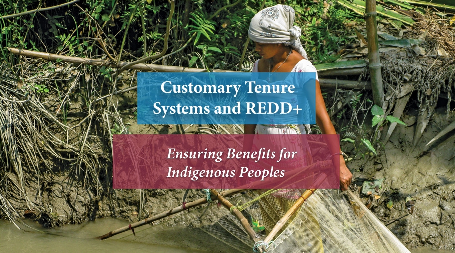 Customary Tenure Systems and REDD+: Ensuring Benefits for Indigenous Peoples