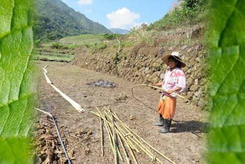 Inputs for the Next Forum of the SCF on “Finance for Nature-Based Solutions”