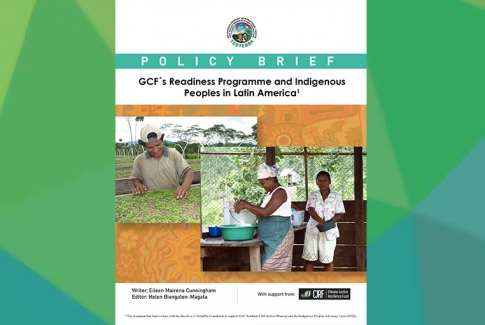 Policy Brief: GCF´s Readiness Programme and Indigenous Peoples in Latin America