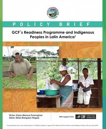 Policy Brief: GCF´s Readiness Programme and Indigenous Peoples in Latin America