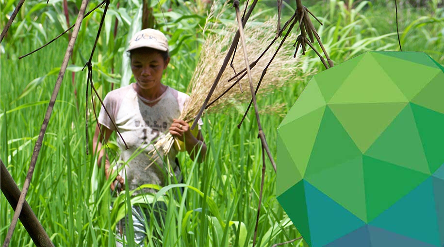 An Indigenous Peoples Toolkit on the Green Climate Fund Indigenous Peoples’ Policy