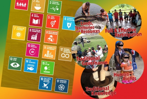 Data: Leaving No Indigenous Peoples Behind in the Achievement of the SDGs
