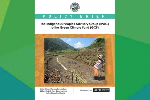 The Indigenous Peoples Advisory Group (IPAG) to the Green Climate Fund (GCF)