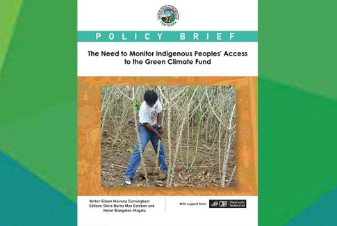 The Need to Monitor Indigenous Peoples' Access to the Green Climate Fund