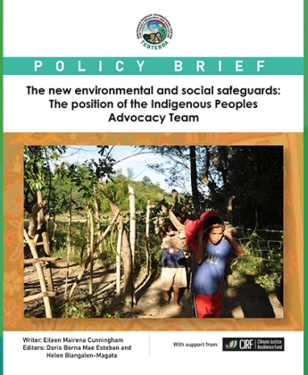 The new environmental and social safeguards: The position of the Indigenous Peoples Advocacy Team