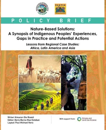 Nature-Based Solutions: A Synopsis of Indigenous Peoples’ Experiences, Gaps in Practice and Potential Actions