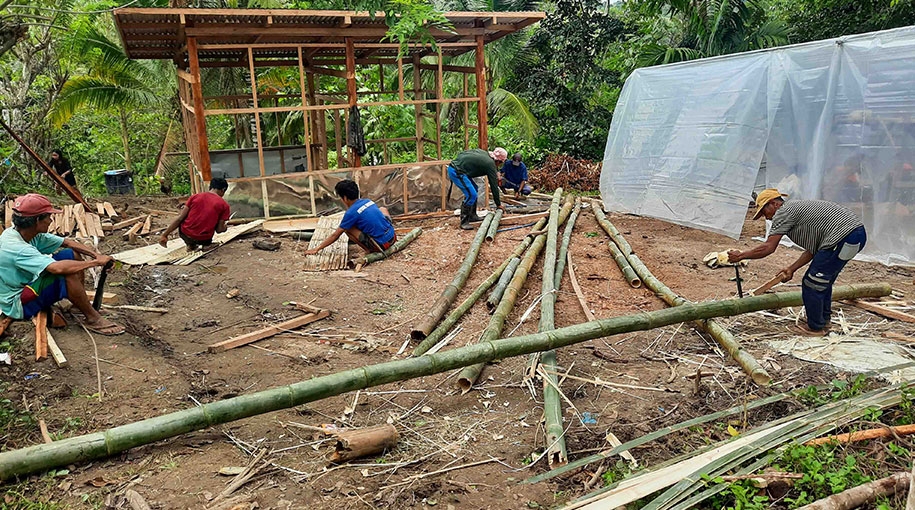 Preparing bamboo fences for the sulagad central nursery. 