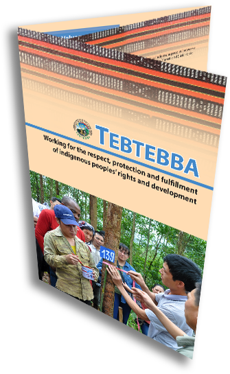tebtebba brochure