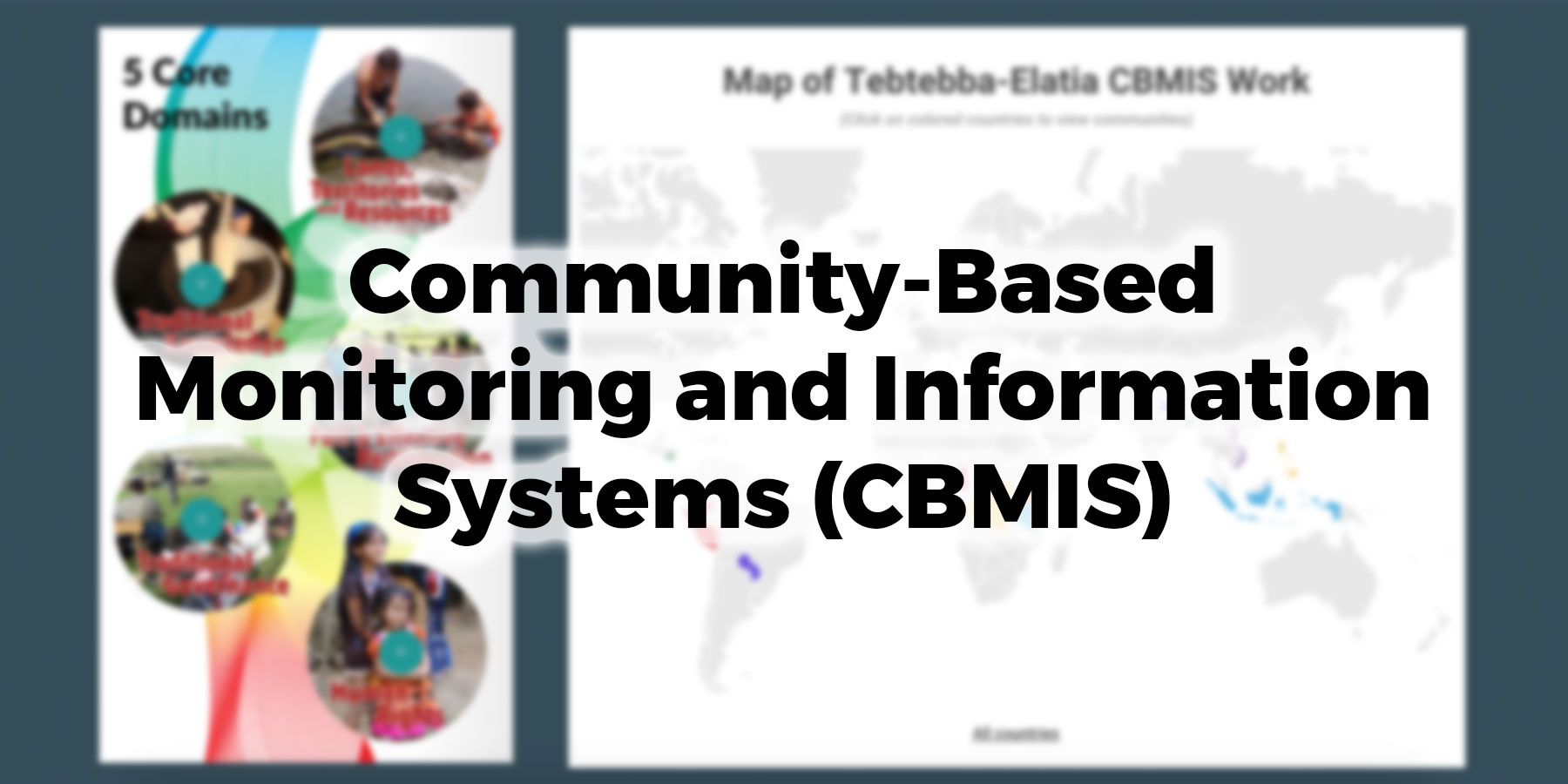 Community-Based Monitoring and Information Systems (CBMIS)