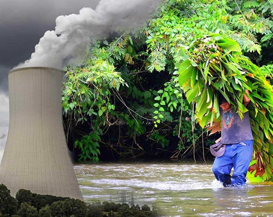 Scoping Studies on Carbon Markets