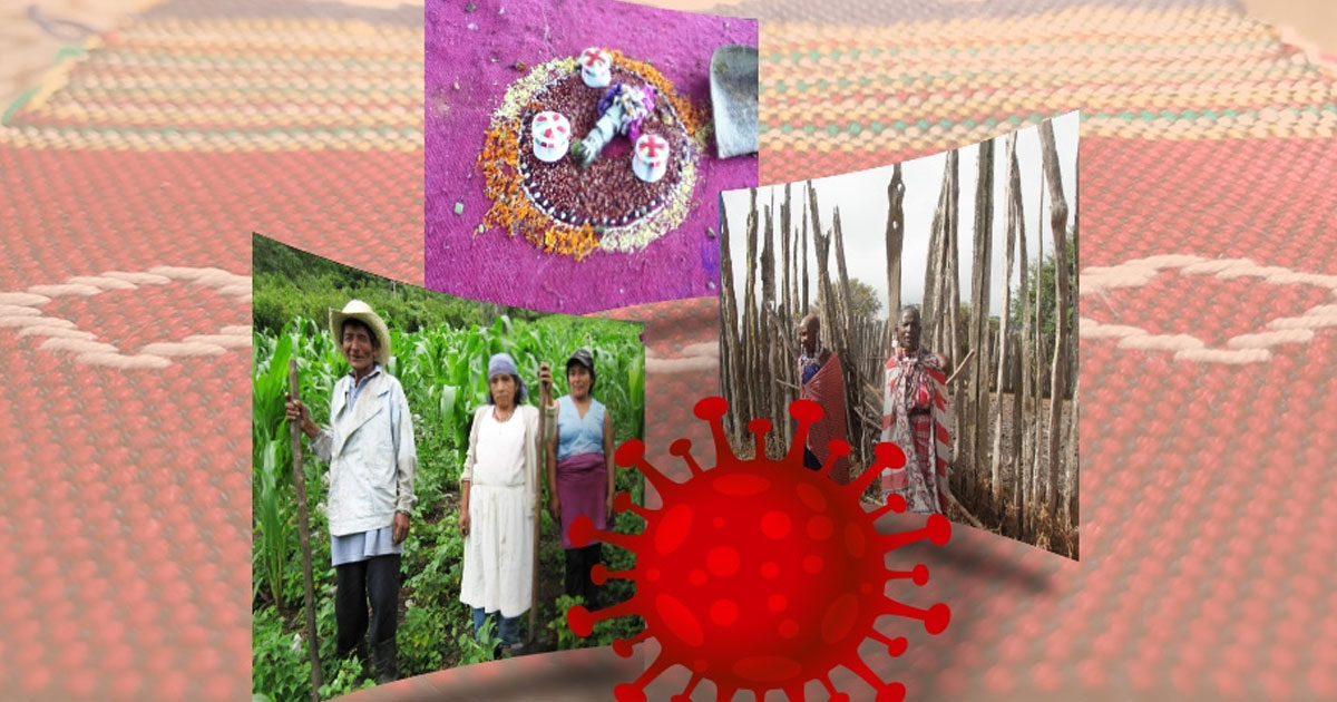 COVID-19 and Indigenous Peoples: Vulnerabilities, Impacts and Responses