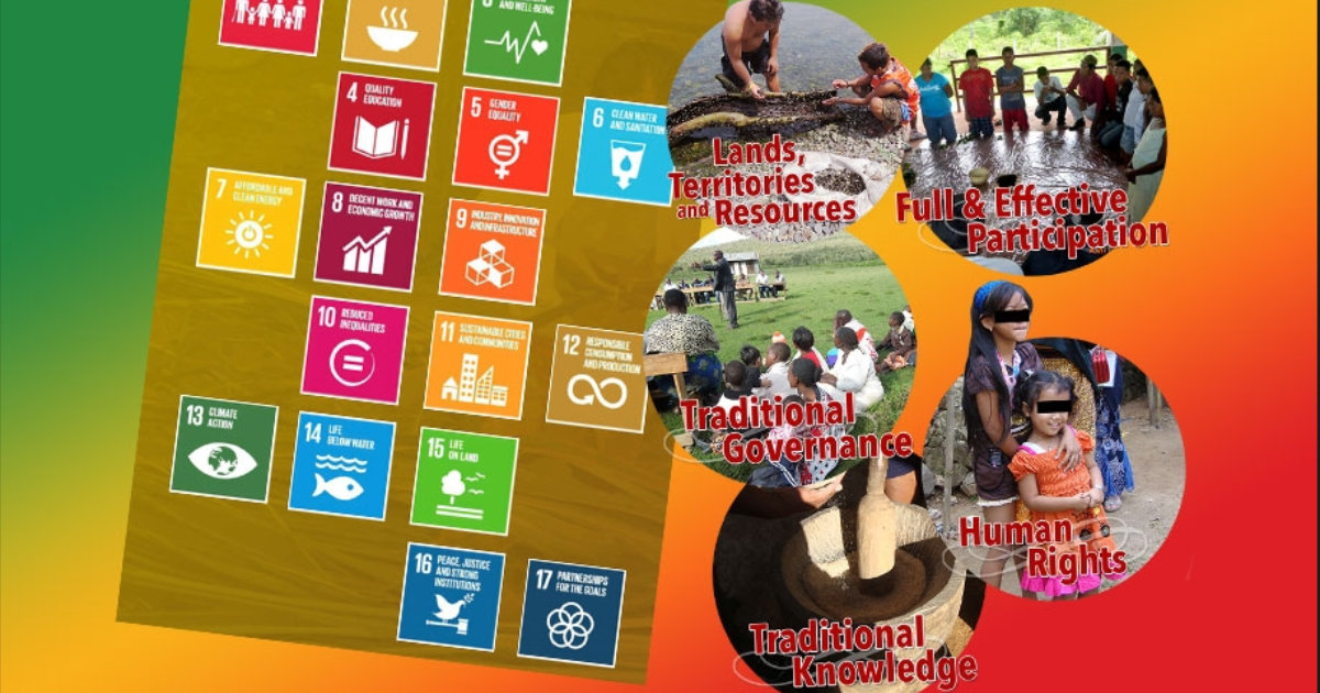 Data: Leaving No Indigenous Peoples Behind in the Achievement of the SDGs