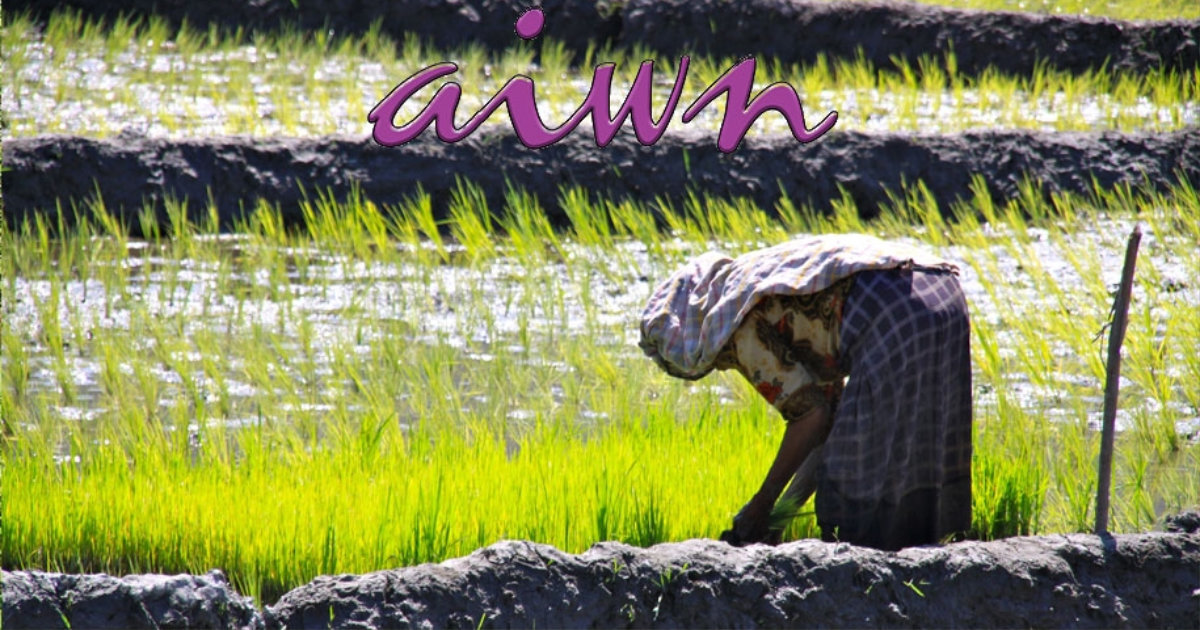 AIWN Partner Organizations Kick Off Economic Recovery Project