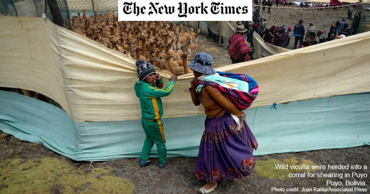 Biodiversity Crisis Affects Billions Who Rely on Wild Species, Researchers Say