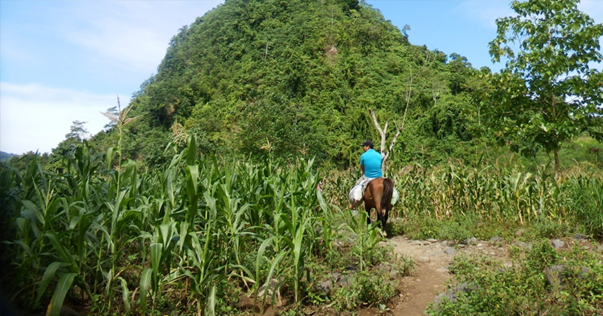 Ensuring Indigenous Land Rights in Business and Extractive Industry