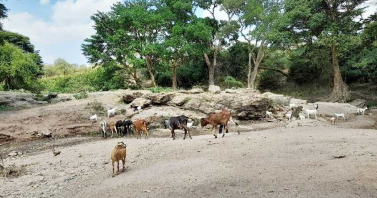 indigenous leaders in africa 2