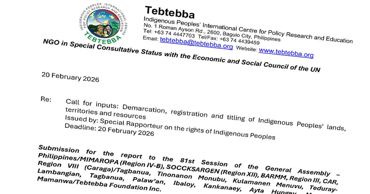Submission to UNSRRIP Call for Inputs for the Report to the 81st Session of the General Assembly