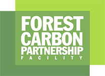 Forest Carbon Partnership Facility Capacity Building on REDD+