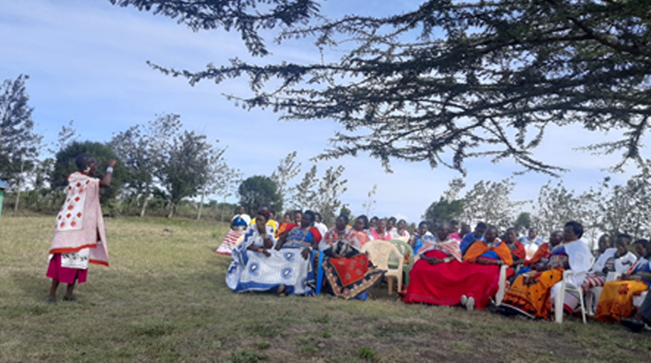 elatia enhances capacities 4