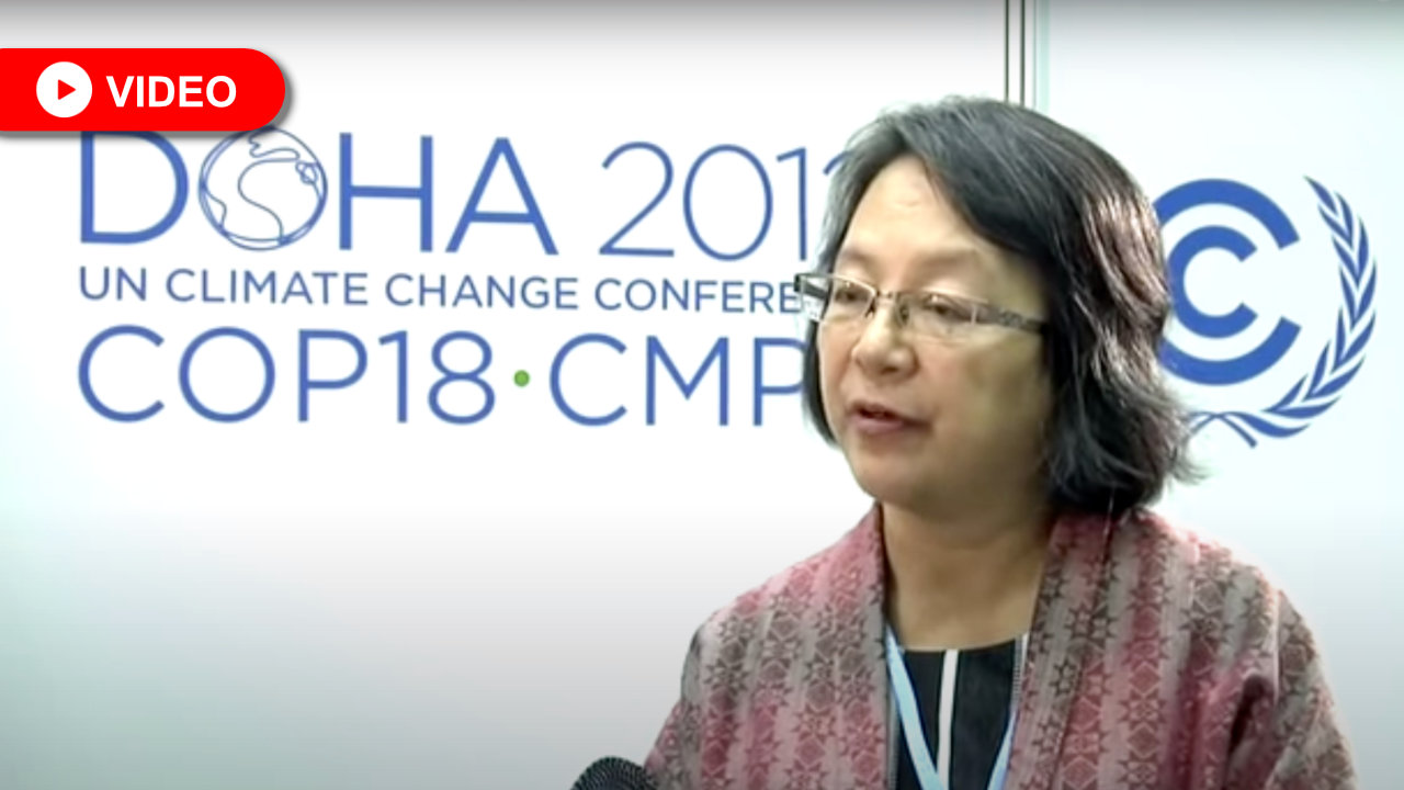 COP18: Forests are homes and habitats, not just carbon sinks