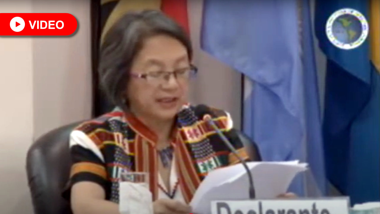Expert Testimony. IACHR. Case of Kaliña and Lokono Peoples vs Surinam