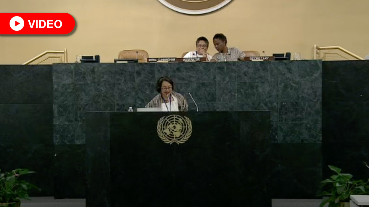 UNSRRIP Presentation to the WCIP Interactive Dialogue