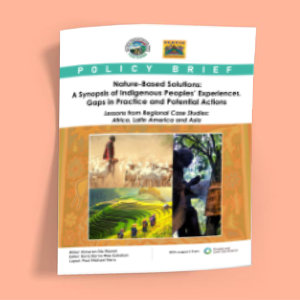Nature-Based Solutions: A Synopsis of Indigenous Peoples’ Experiences, Gaps in Practice and Potential Actions (Lessons from Regional Case Studies: Africa, Latin America and Asia)