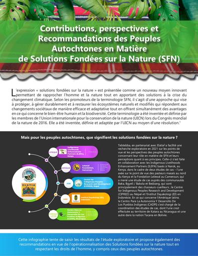 Contributions, perspectives et Recommandations des Peuples Autochtones en Matière de Solutions Fondées sur la Nature (SFN)