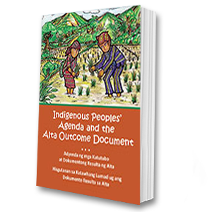 Indigenous Peoples' Agenda and the Alta Outcome Document