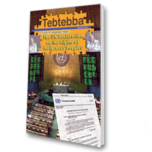 Tebtebba (Volume 10, 2007)